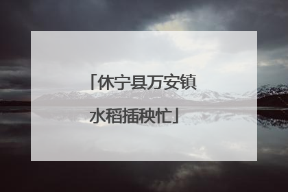 休宁县万安镇水稻插秧忙
