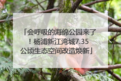 会呼吸的海绵公园来了！杨浦新江湾城7.35公顷生态空间改造焕新