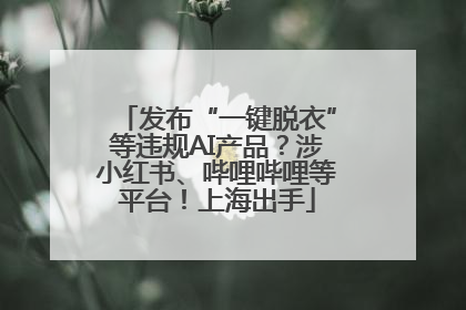 发布“一键脱衣”等违规AI产品？涉小红书、哔哩哔哩等平台！上海出手