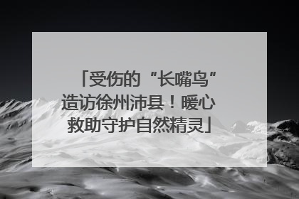 受伤的“长嘴鸟”造访徐州沛县！暖心救助守护自然精灵