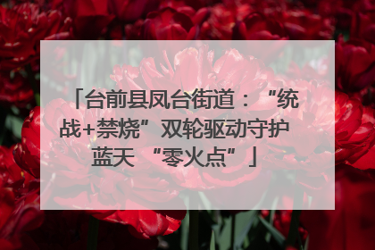 台前县凤台街道：“统战+禁烧”双轮驱动守护蓝天 “零火点”