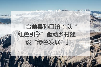 台前县孙口镇：以“红色引擎”驱动乡村建设“绿色发展”