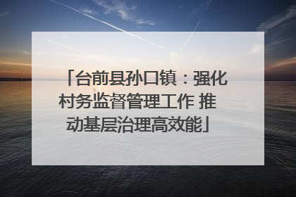 台前县孙口镇：强化村务监督管理工作 推动基层治理高效能
