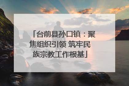 台前县孙口镇：聚焦组织引领 筑牢民族宗教工作根基