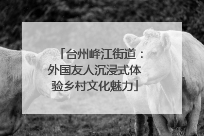 台州峰江街道：外国友人沉浸式体验乡村文化魅力