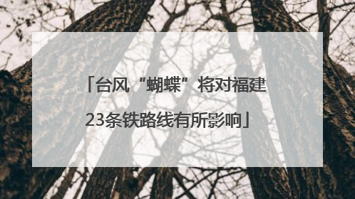 台风“蝴蝶”将对福建23条铁路线有所影响