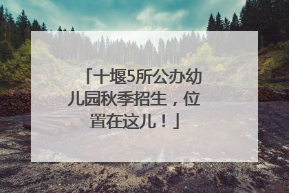 十堰5所公办幼儿园秋季招生，位置在这儿！