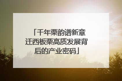 千年栗韵谱新章 迁西板栗高质发展背后的产业密码