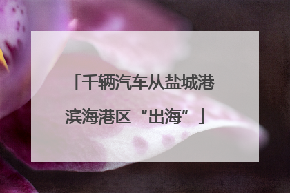 千辆汽车从盐城港滨海港区“出海”