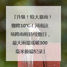 升级！特大暴雨！骤降10℃！河南这场降雨将持续数日，最大雨量或破300毫米极端纪录