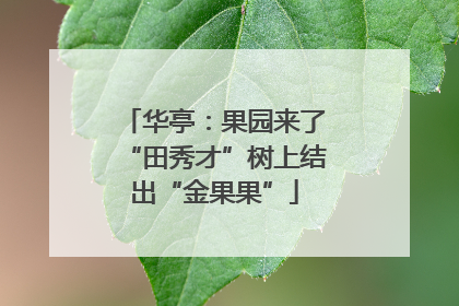 华亭：果园来了“田秀才”树上结出“金果果”
