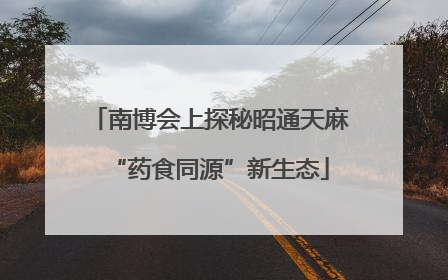 南博会上探秘昭通天麻“药食同源”新生态