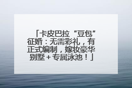卡皮巴拉“豆包”征婚：无需彩礼，有正式编制，嫁妆豪华别墅＋专属泳池！