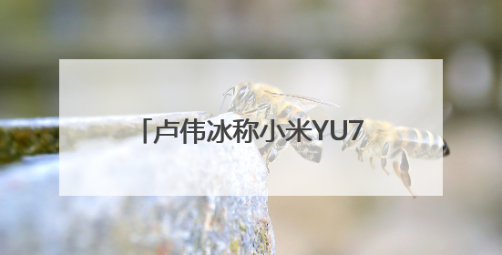 卢伟冰称小米YU7价格不会太便宜，网友：25.59万，小米副董事：不行！