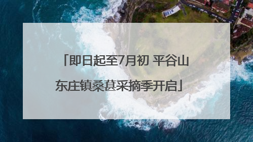 即日起至7月初 平谷山东庄镇桑葚采摘季开启