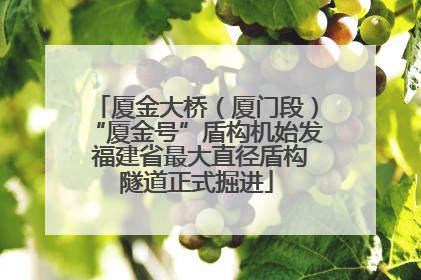 厦金大桥（厦门段）“厦金号”盾构机始发 福建省最大直径盾构隧道正式掘进
