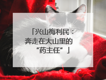 兴山梅利民：奔走在大山里的“药主任”