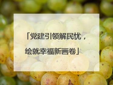 党建引领解民忧，绘就幸福新画卷