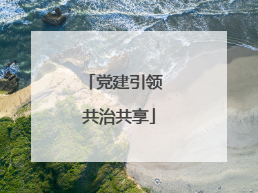 党建引领 共治共享