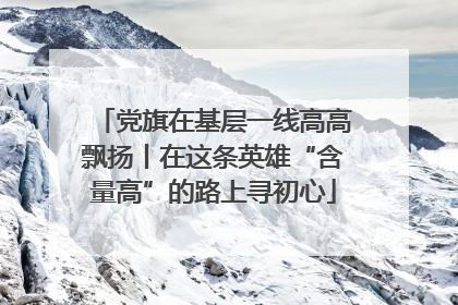 党旗在基层一线高高飘扬丨在这条英雄“含量高”的路上寻初心