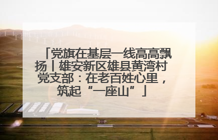 党旗在基层一线高高飘扬丨雄安新区雄县黄湾村党支部：在老百姓心里，筑起“一座山”
