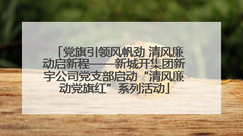 党旗引领风帆劲 清风廉动启新程——新城开集团新宇公司党支部启动“清风廉动党旗红”系列活动