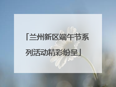 兰州新区端午节系列活动精彩纷呈