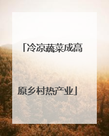 冷凉蔬菜成高原乡村热产业