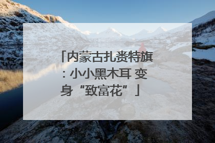 内蒙古扎赉特旗：小小黑木耳 变身“致富花”