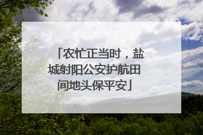 农忙正当时，盐城射阳公安护航田间地头保平安