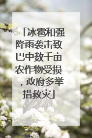 冰雹和强降雨袭击致巴中数千亩农作物受损，政府多举措救灾