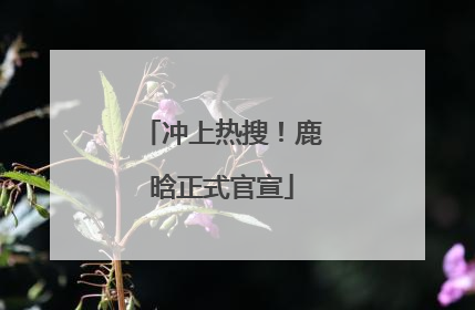 冲上热搜！鹿晗正式官宣