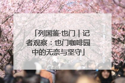 列国鉴·也门｜记者观察：也门咖啡园中的无奈与坚守