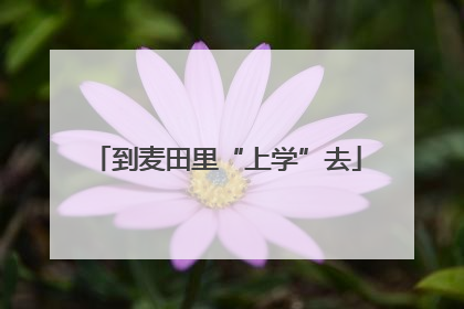 到麦田里“上学”去