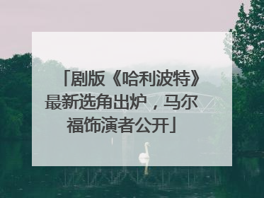 剧版《哈利波特》最新选角出炉，马尔福饰演者公开