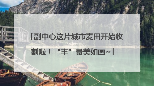 副中心这片城市麦田开始收割啦!“丰”景美如画~
