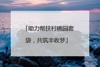 助力帮扶村桃园套袋，共筑丰收梦