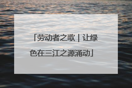 劳动者之歌｜让绿色在三江之源涌动