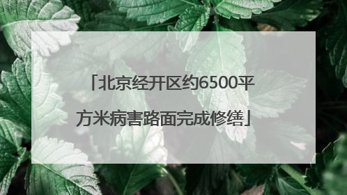 北京经开区约6500平方米病害路面完成修缮