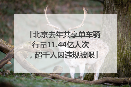北京去年共享单车骑行量11.44亿人次，超千人因违规被限