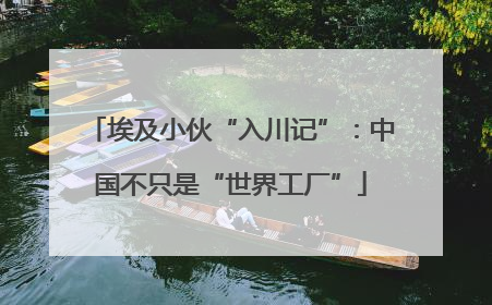 埃及小伙“入川记”：中国不只是“世界工厂”