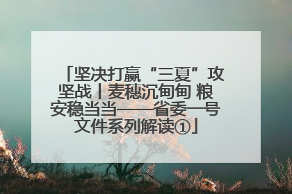 坚决打赢“三夏”攻坚战丨麦穗沉甸甸 粮安稳当当——省委一号文件系列解读①