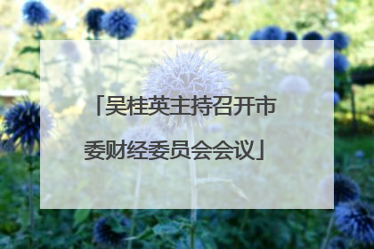 吴桂英主持召开市委财经委员会会议