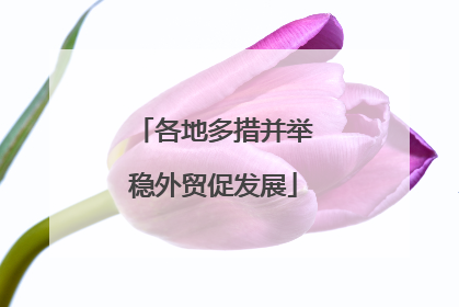 各地多措并举稳外贸促发展