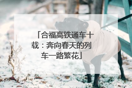 合福高铁通车十载：奔向春天的列车一路繁花
