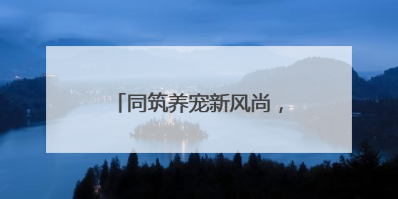 同筑养宠新风尚，小细节彰显大文明