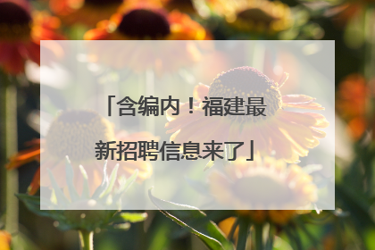 含编内！福建最新招聘信息来了