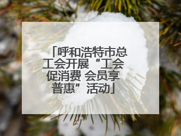 呼和浩特市总工会开展“工会促消费 会员享普惠”活动