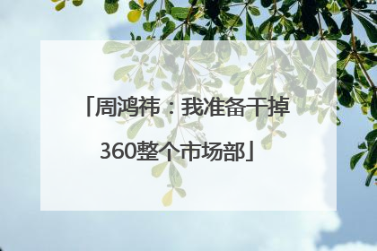 周鸿祎：我准备干掉360整个市场部