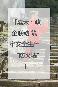 嘉禾：政企联动 筑牢安全生产“防火墙”